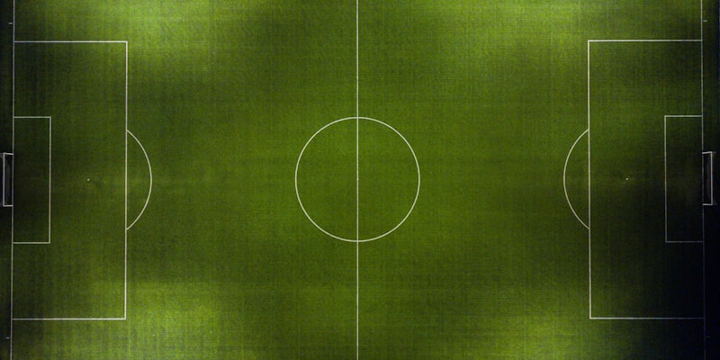 西班牙队球员庆祝进球，背景是失望的意大利队守门员